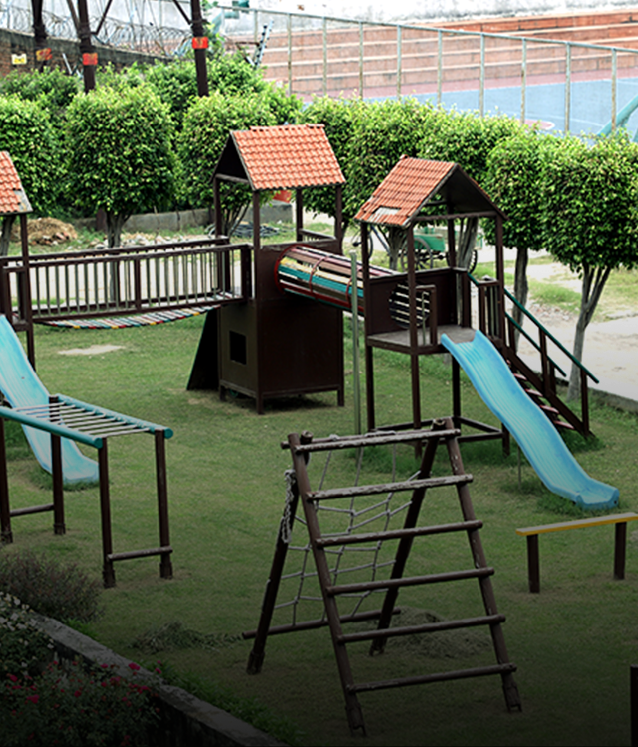 Jungle Gym
